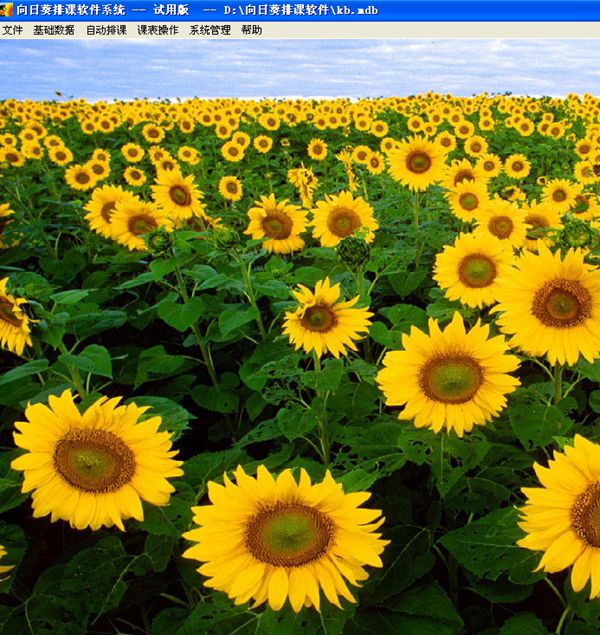 ���տ��ſ�����